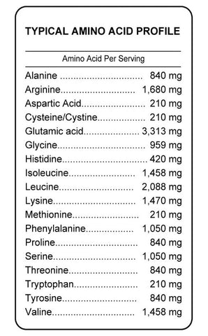 Plant Protein Power 510 g (1.1 lb)