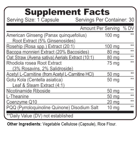 Brain NutriCore Synergy Formula