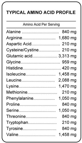 Plant Protein Power